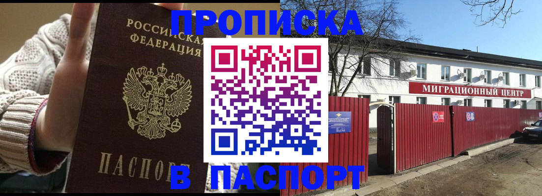 временная регистрация поиск в Тереке